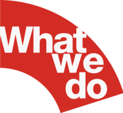 what-we-do-250x230