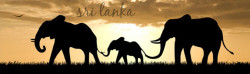 sri-lanka-tourism
