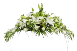Funeral-PNG-Clipart