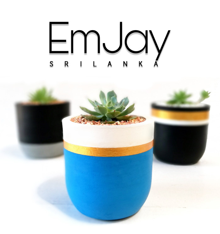 Em Jay Srilankainterior design items wattalawattala plantswattala designer potsmini pots
