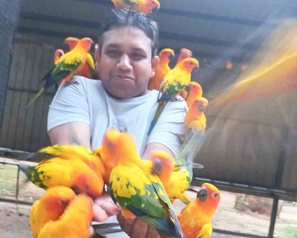 New Animal clinic And Surgery delgoda Animal Clinic delgoda pet