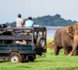 yala tour srilanka