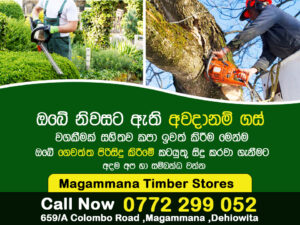 Magammana tree cutting and garden service