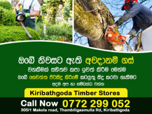 kiribathgoda tree cutting
