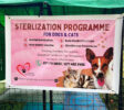 piliyandala pet service