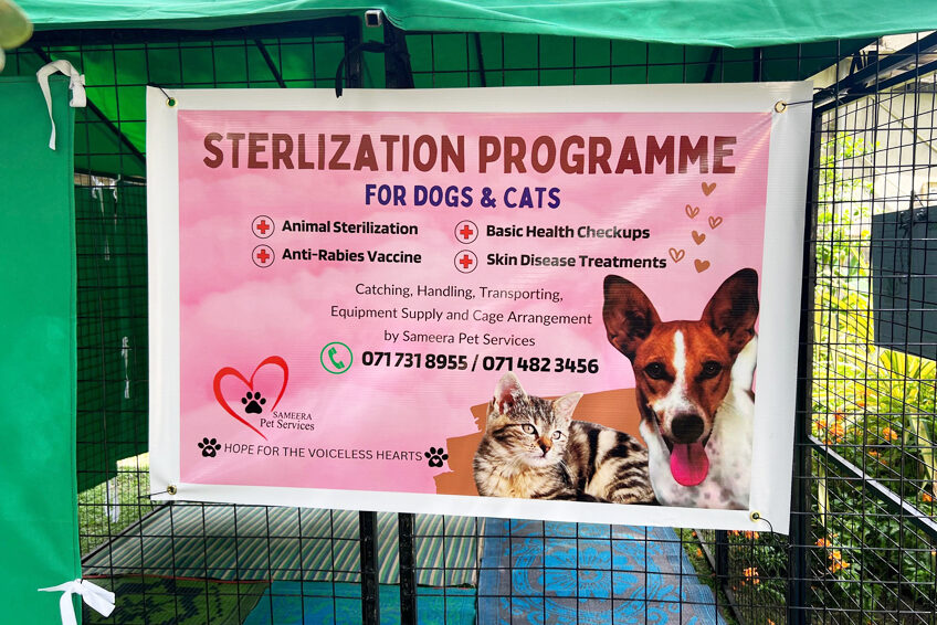 piliyandala pet service