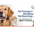 piliyandala pet service
