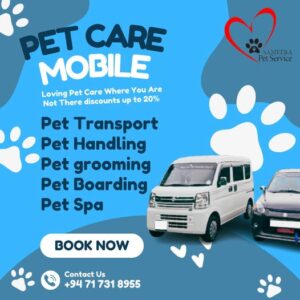 Animal doctor piliyandala