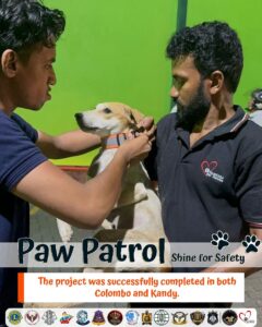 piliyandala pet boarding 