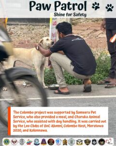 piliyandala pet boarding