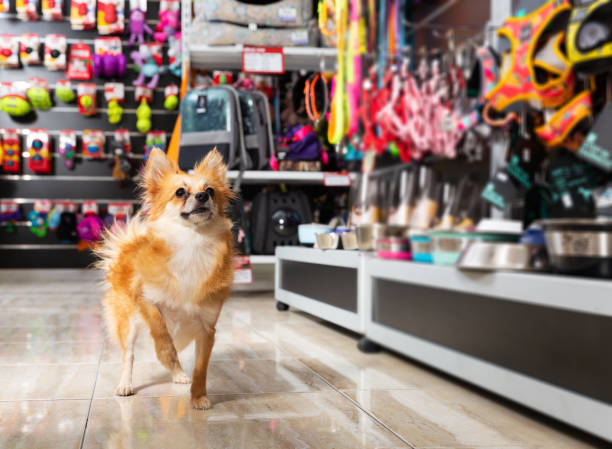 pet shop in kandana